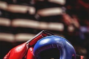 Як обрати правильні боксерські рукавички для боксу, кікбоксингу та інших видів єдиноборств фото