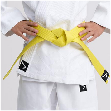 Жовтий пояс IPPON GEAR серія CLUB 2  JIB230W фото