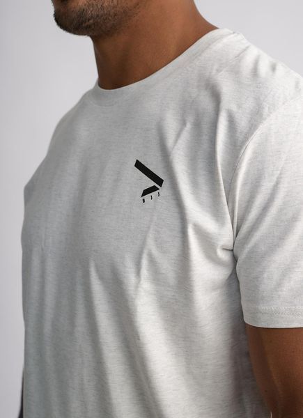 Світло-сіра футболка IPPON GEAR BIG PRINT для дзюдо 000121 фото